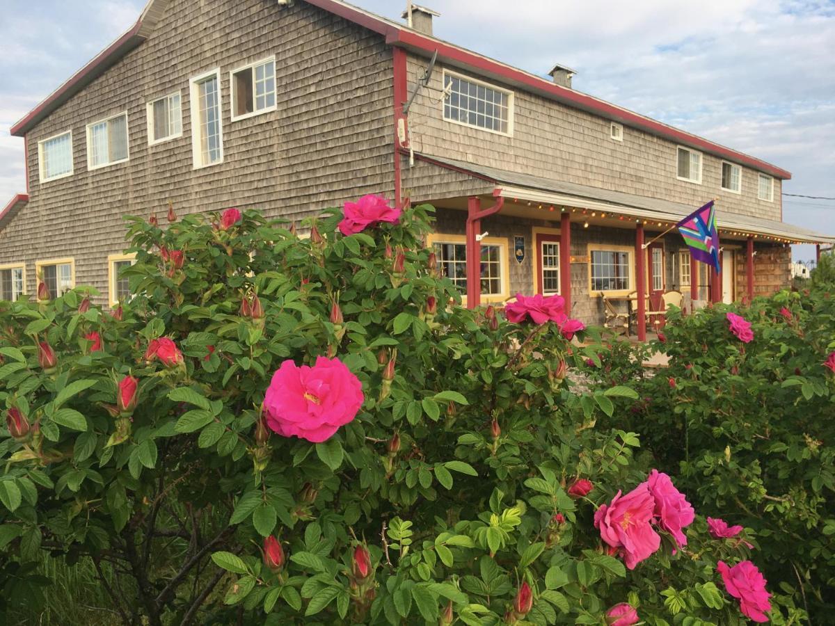 Auberge Cafe Acadien Бонавентюр Экстерьер фото